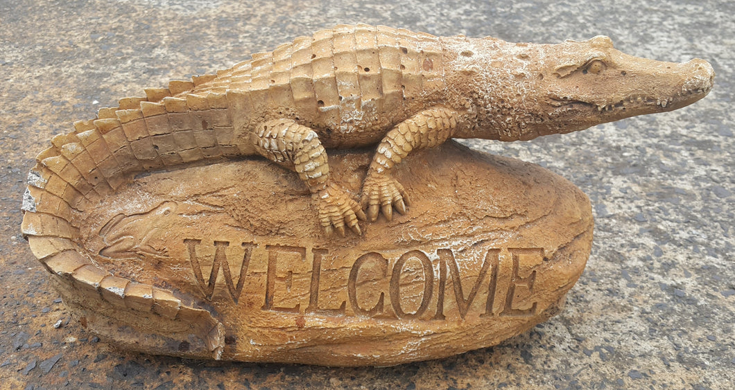 Welcome Crocodile