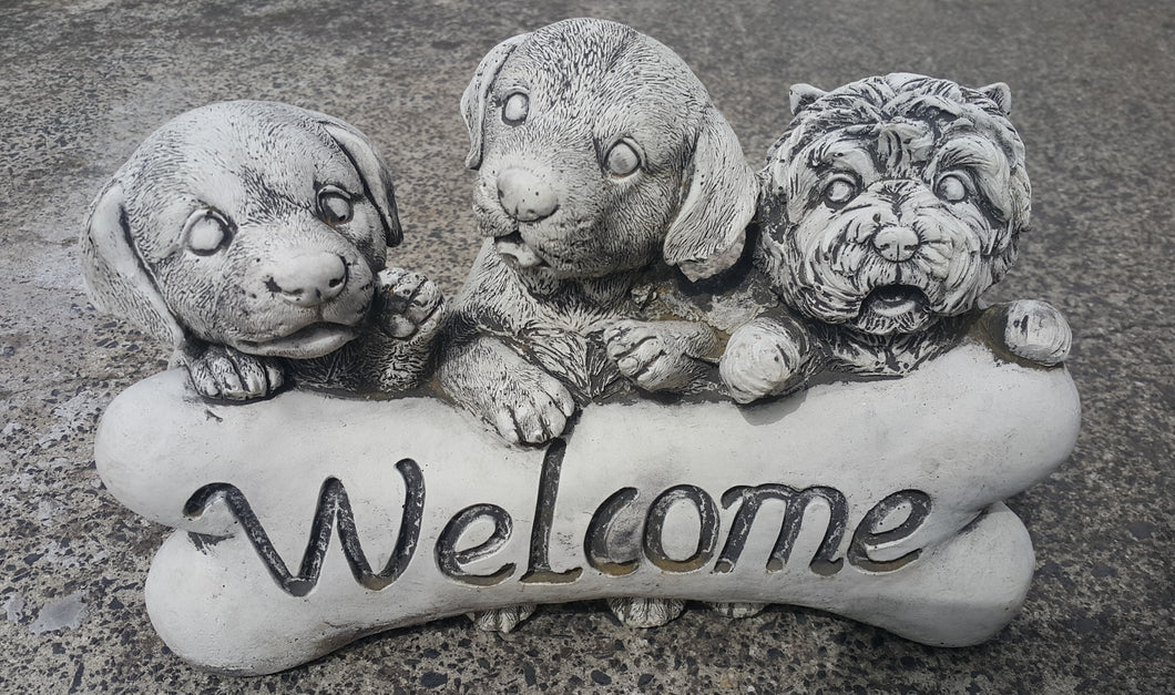 Welcome Puppies