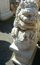 Temple Fu Dogs With Ball