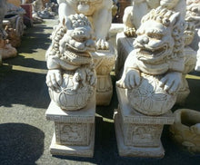 Temple Fu Dogs With Ball