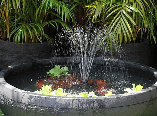 Fish Pond With Pump and Sprinkler