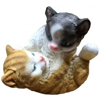 Two cats playing