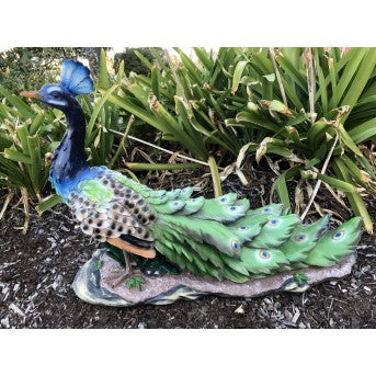 Peacock Statue (63cm)