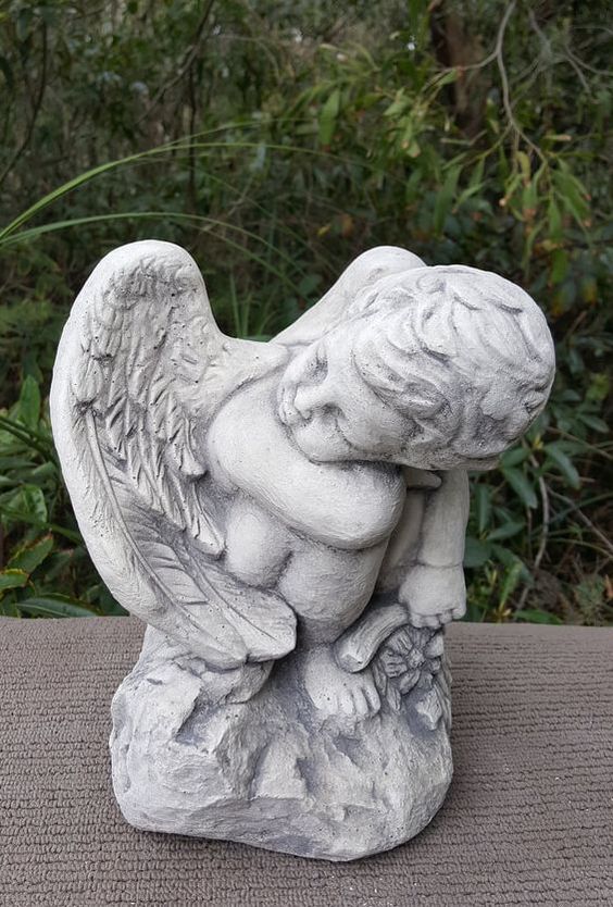 Shy Angel