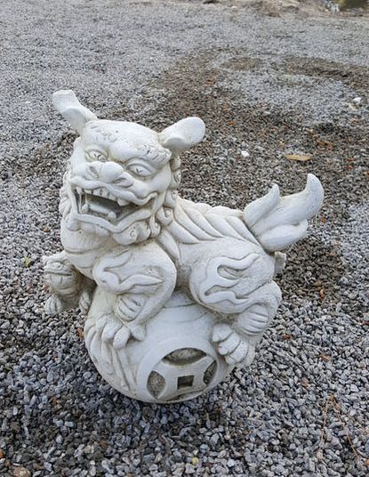 Small Chinese Dog Right