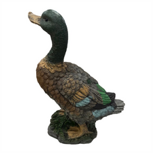 Resin Mandrain Duck PR074