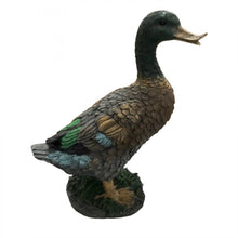 Resin Mandrain Duck PR074