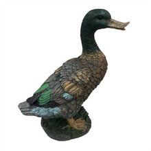 Resin Mandrain Duck PR074