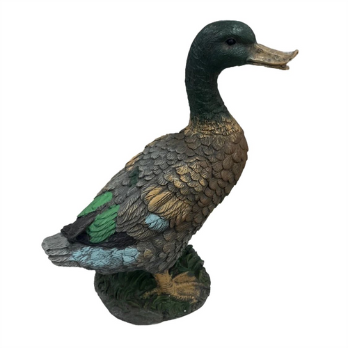 Resin Mandrain Duck PR074