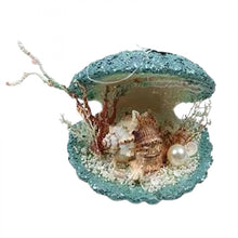 Foam Shell BOS006