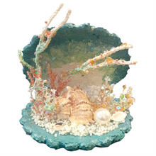 Foam Shell BOS006