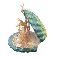 Foam Shell BOS006