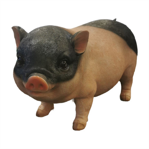 Resin Black Pig PR097C