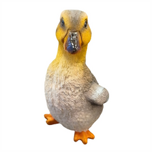 3/A Resin Duck PR145