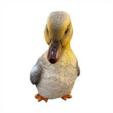 3/A Resin Duck PR145