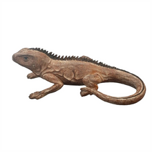Resin Lizard PR125