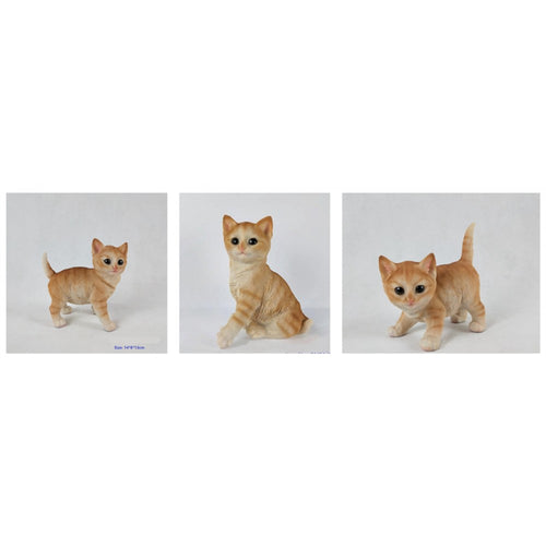 3/A Resin Cat PR086