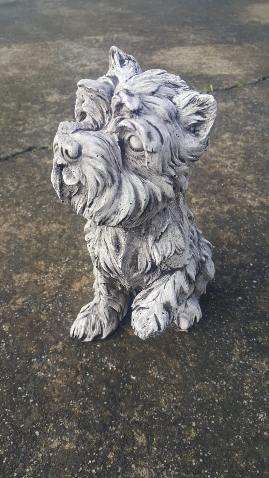 Little Fur Dog