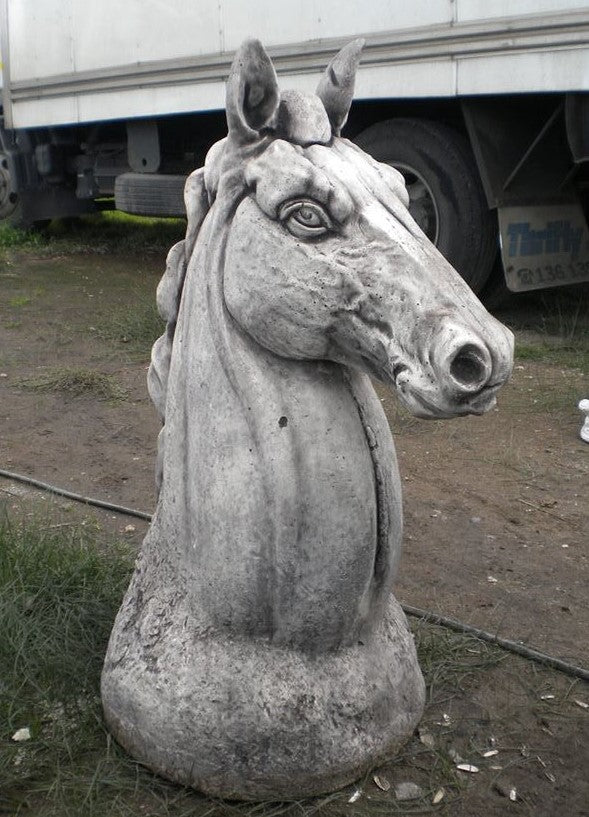 Horse Head Concrete