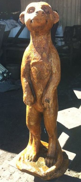 Standing Meerkat