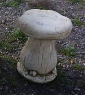 Toad Stool