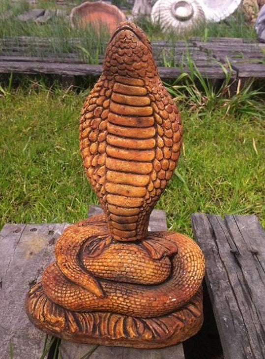 Cobra Snake Concrete