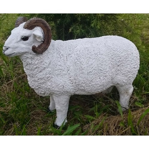 80cm Large White Ram Fiberglass