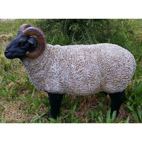 80cm Black Head Ram Fiberglass