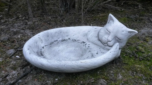 Cat Dish Birdbath Concrete