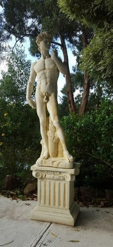Large David