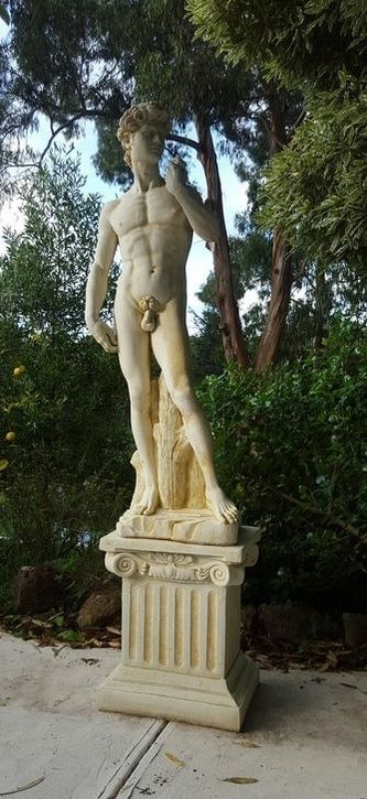 Large David