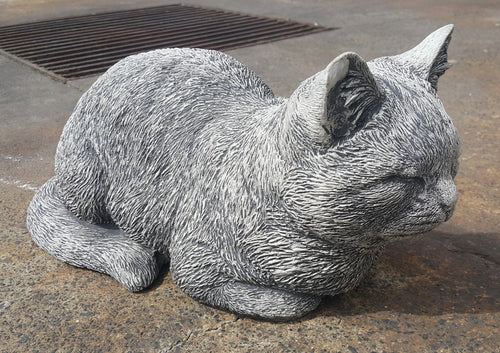 Sitting Cat Concrete