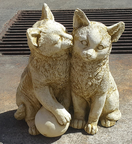 Kissing Cats Concrete