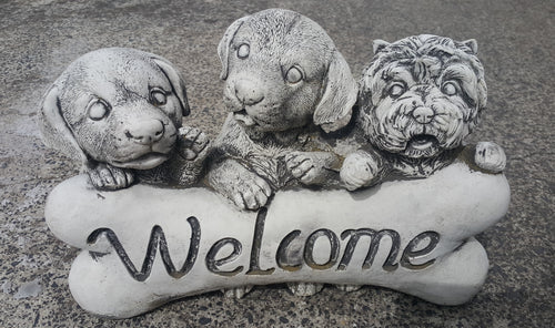 Welcome Puppies