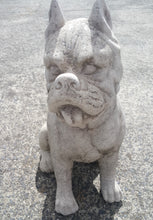 Sitting Dog