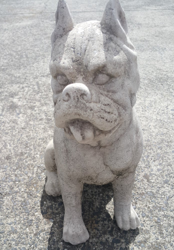 Sitting Dog