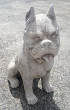 Sitting Dog