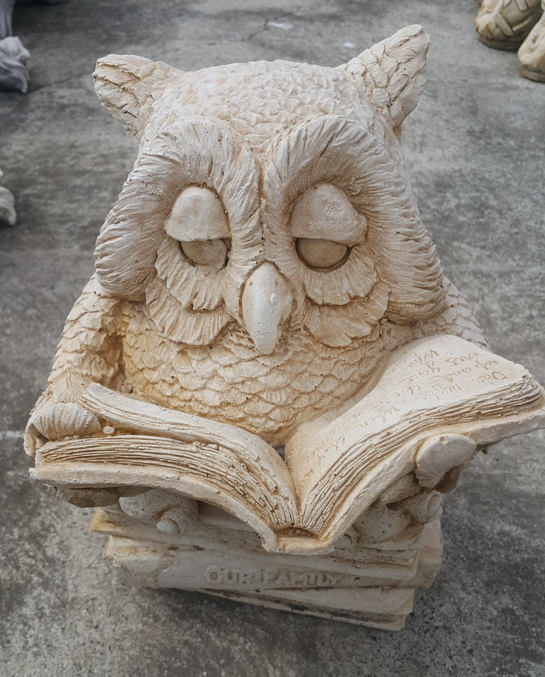 Owl With Book Concrete