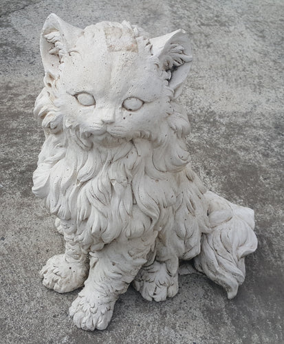 Fur Cat Concrete