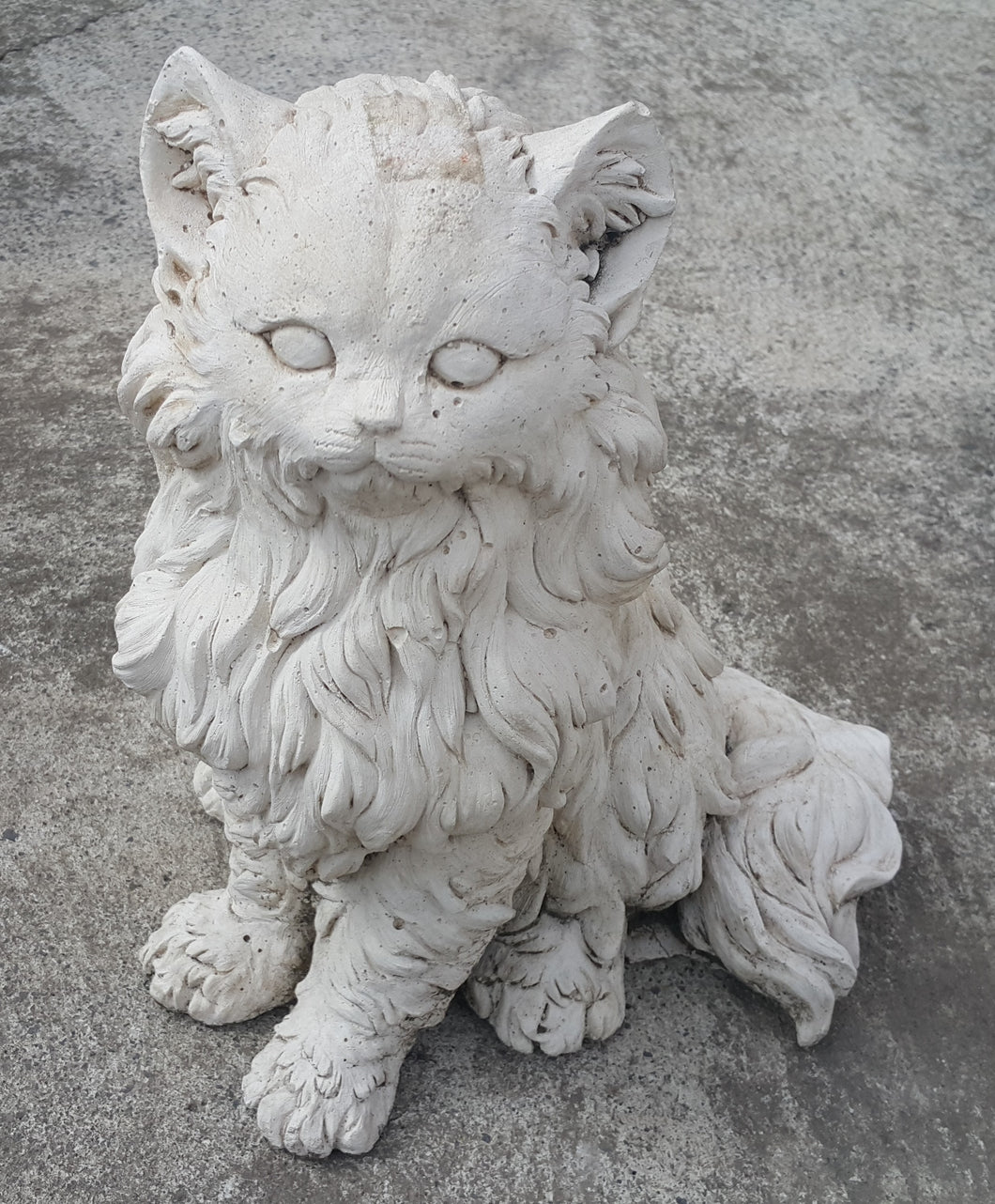 Fur Cat Concrete
