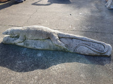 Large Iguana On Log 91cm