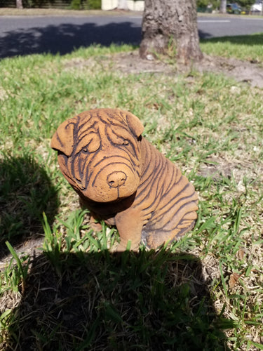 Small Dog