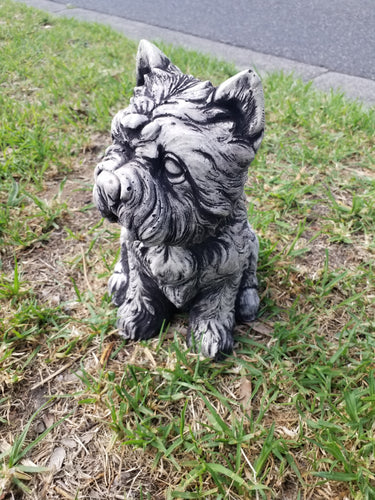 Sitting puppy