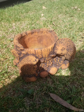 Echidna pot