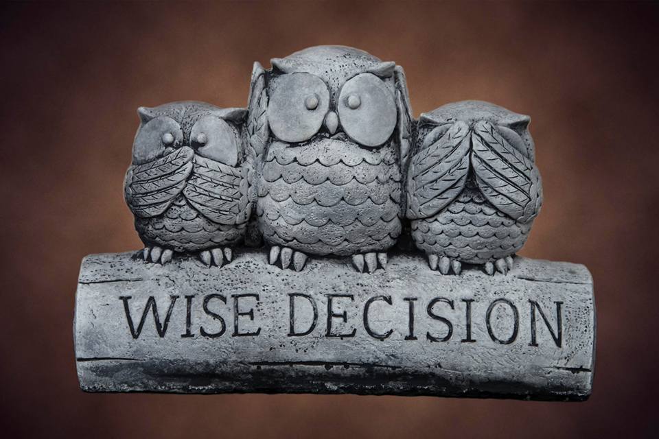 Wise Decision Owls grey