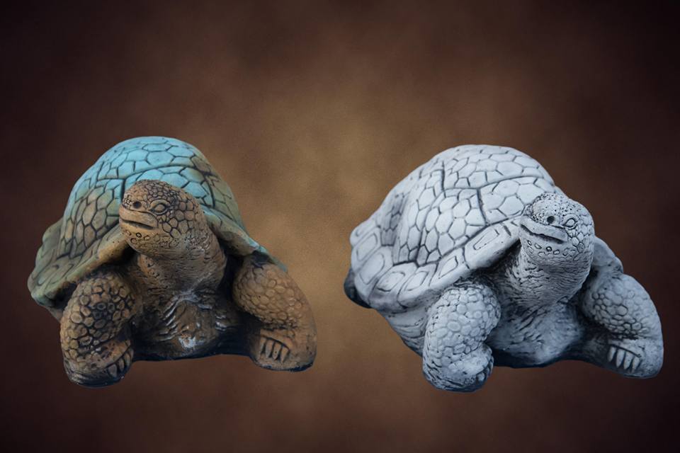 Jacob Turtle 21766803_527482724266539_2664220201312204677_n_1024x1024.jpg?v=1529385229