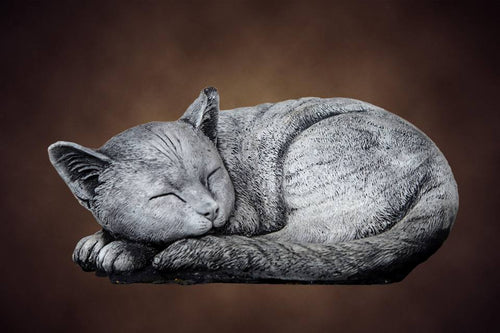 Laying Cat Concrete