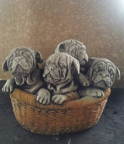 Puppies In Basket
