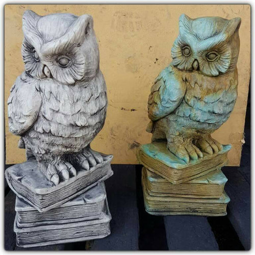 Owl On Books Concrete