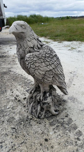 Small Eagle